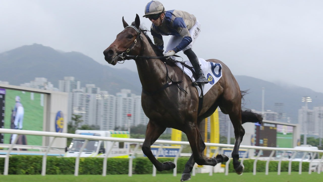 ‘Even Ka Ying Rising got beat’ – David Hayes itching to prove Jedi Spurs is the real deal