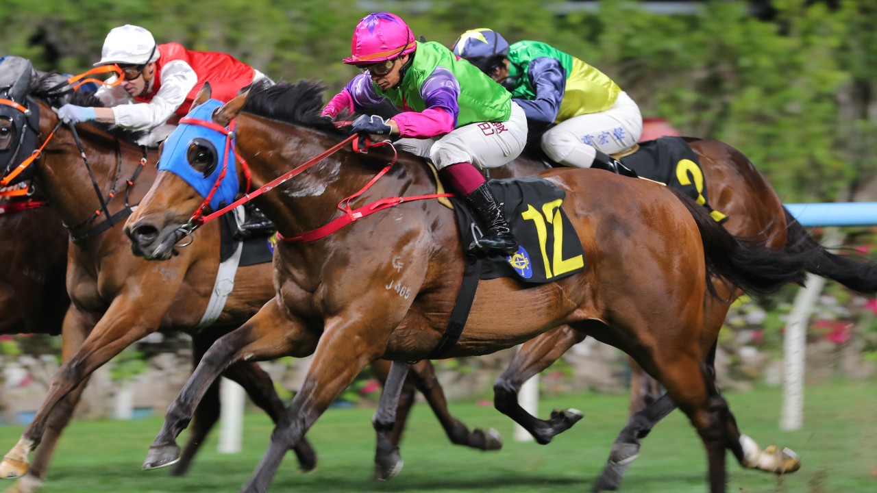 Who wins at Happy Valley? Bunta Baby a brilliant chance first up with Purton on
