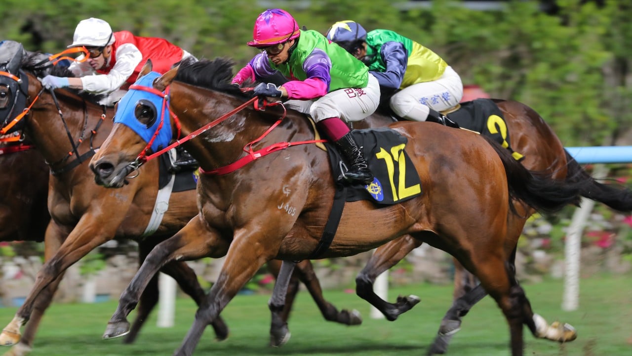 Who wins at Happy Valley? Bunta Baby a brilliant chance first up with Purton on