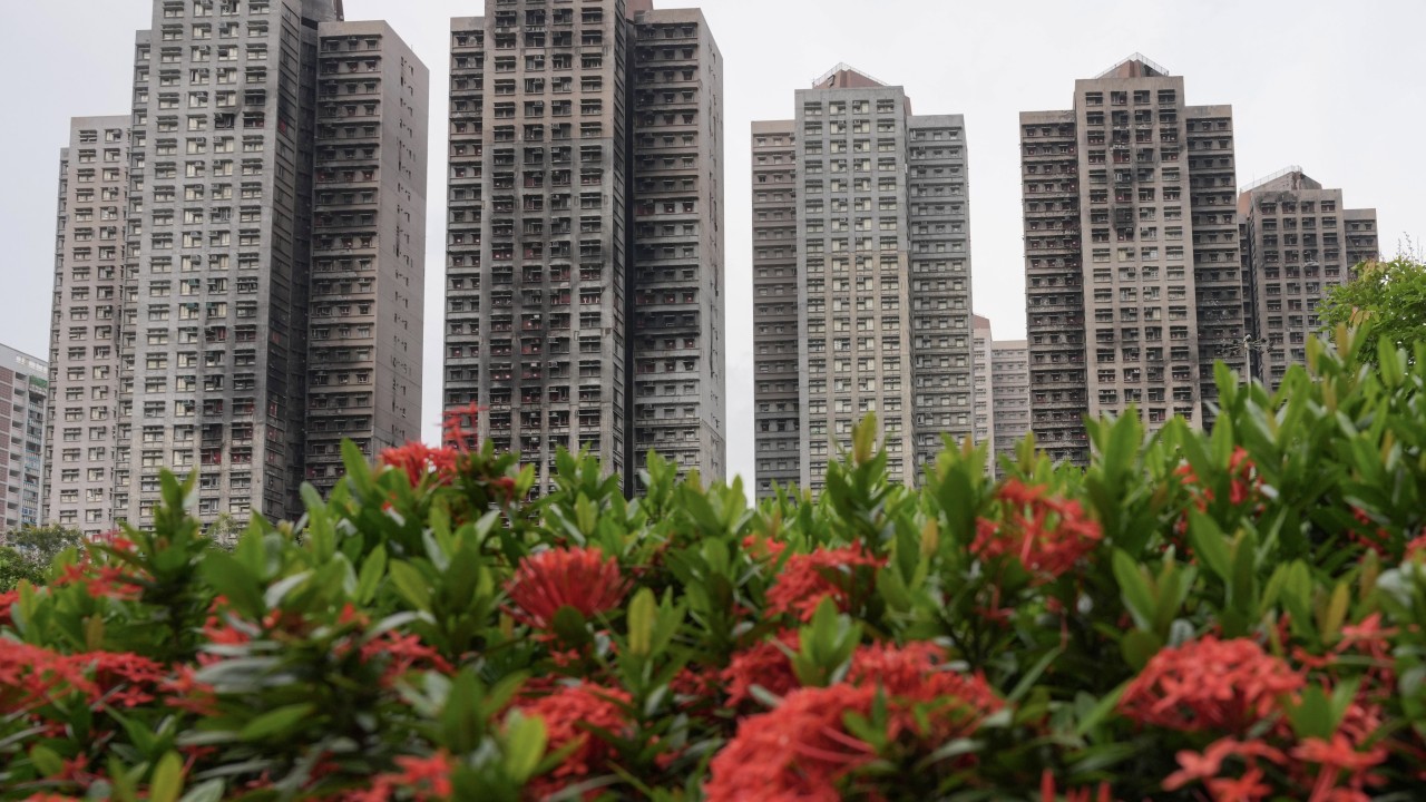Hong Kong leader pledges building maintenance reforms after fatal Tai Po fire