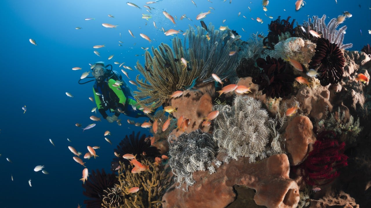 Malaysian woman scuba diving in Bali dies after being swept away by currents