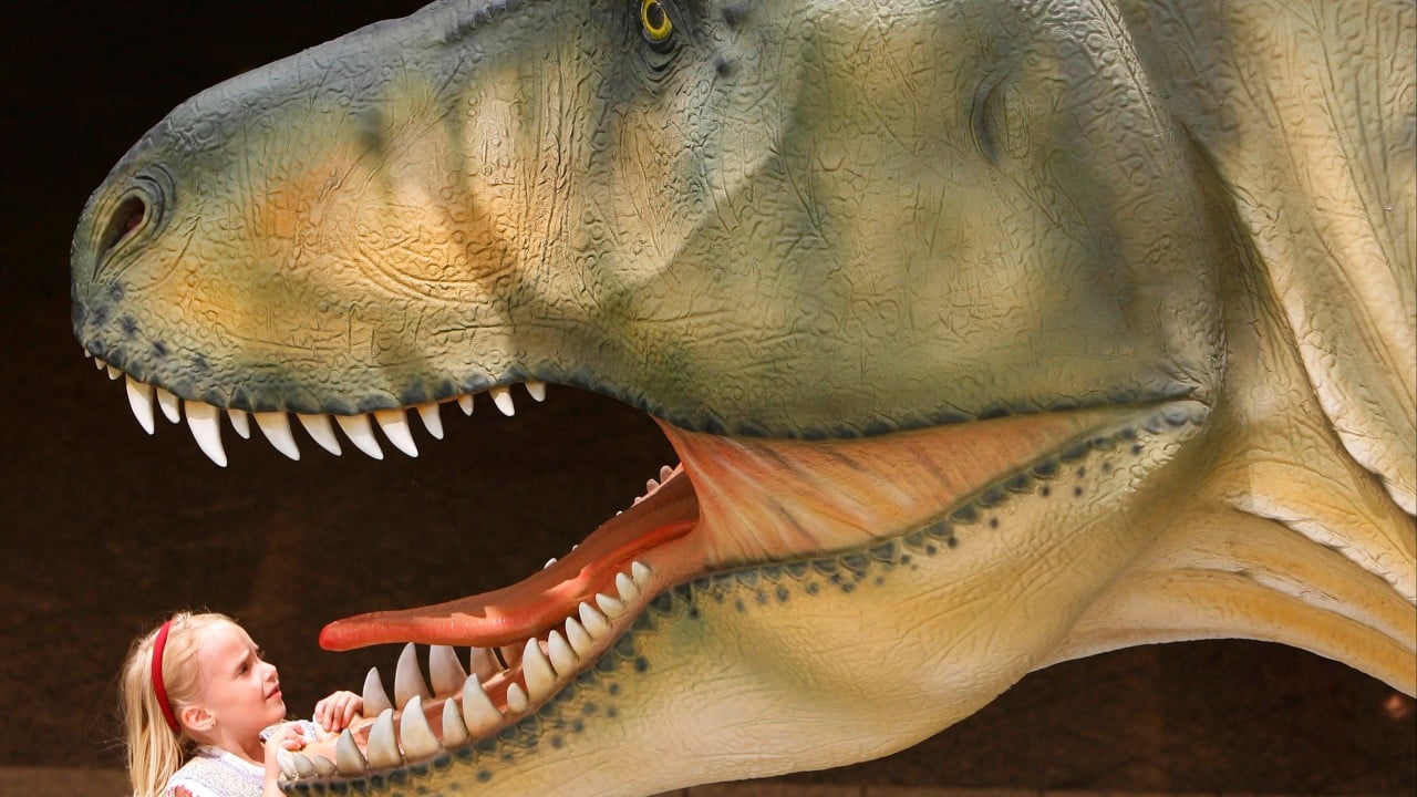 T. rex was warm-blooded and had body temperature close to ours, study finds