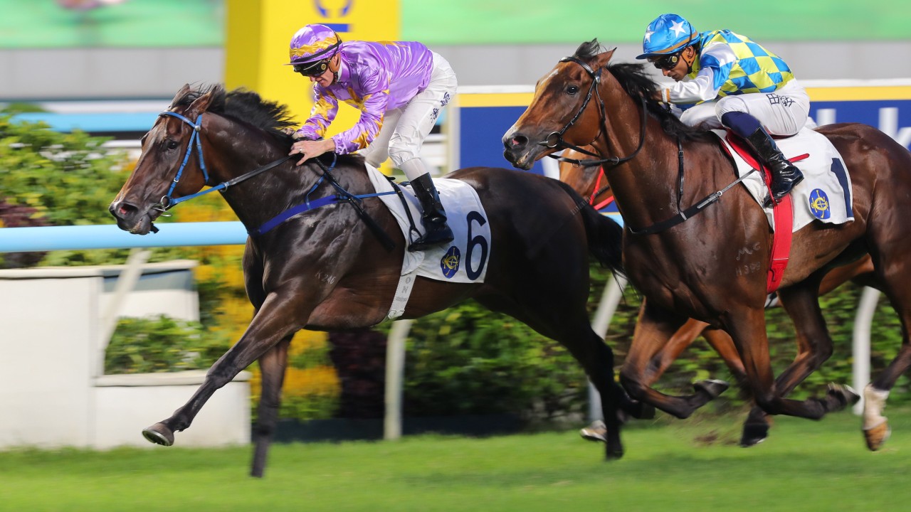 Calmer Little Paradise set to launch Hong Kong Mile mission in Celebration Cup
