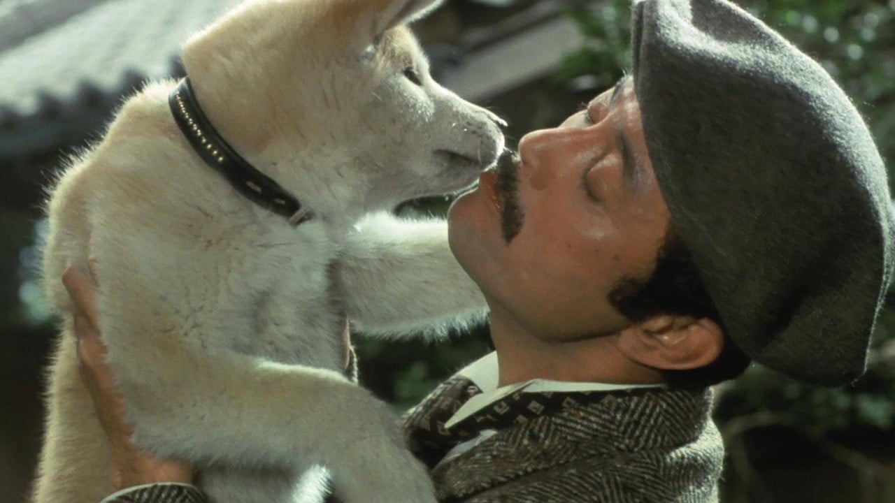 Loved Heart of the Beast? 10 of the best dog movies where the canine takes the lead