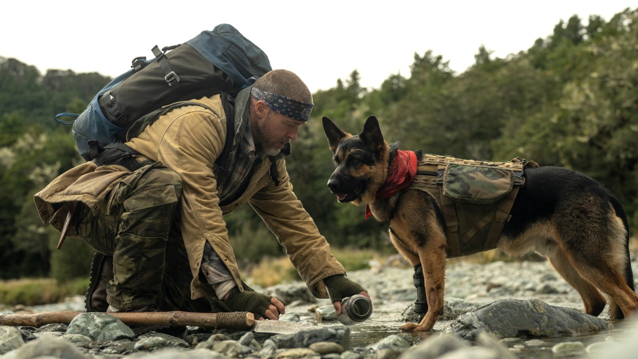 Heart of the Beast review: Brad Pitt and his loyal combat dog brave the Alaskan wilderness