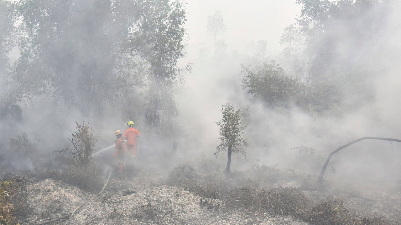 Indonesia breathing issues spike to over 170,000 cases amid wildfire haze