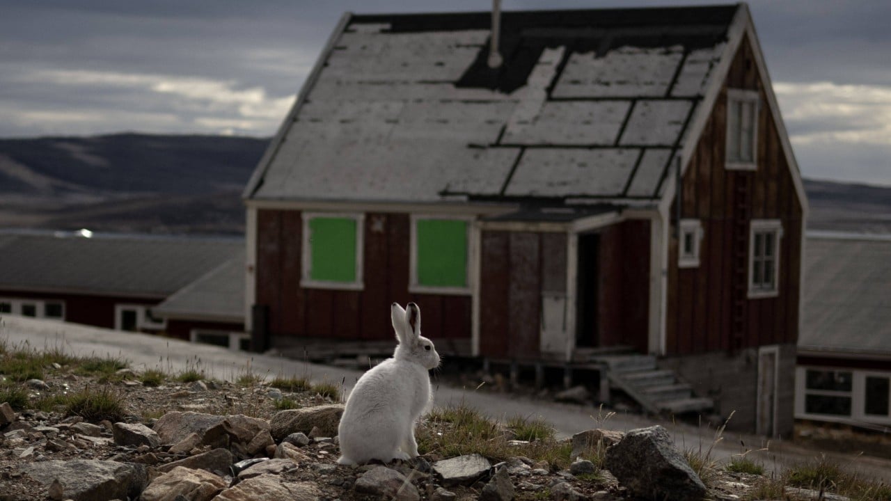 US, Greenland, Denmark to sign deal in New York in bid to end Arctic stand-off