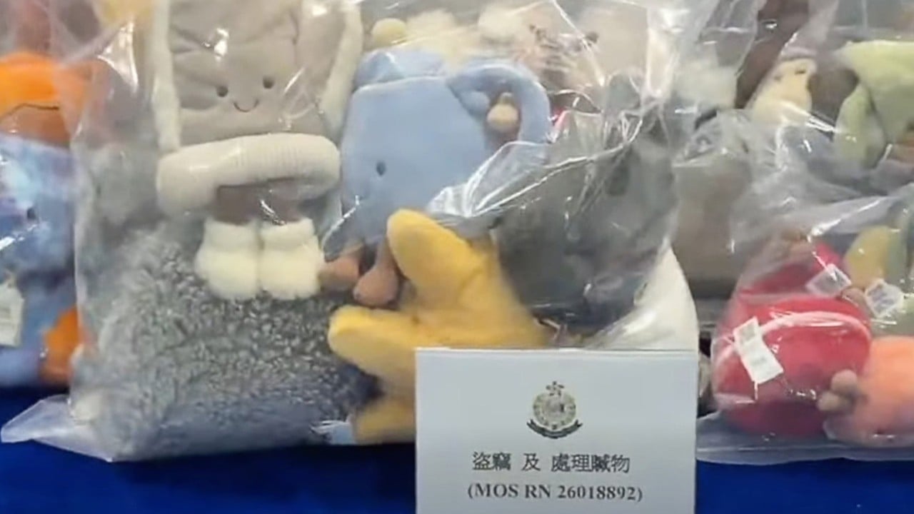 Police arrest 3 over HK$70,000 Jellycat claw machine shop theft
