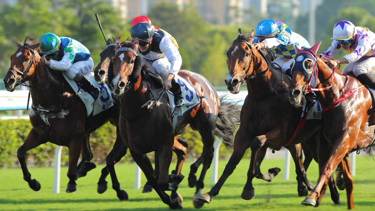 Invincible Ibis exceeds Mark Newnham’s expectations with thrilling first-up win in Celebration Cup
