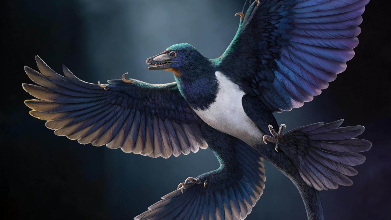 4-winged fossil found in Liaoning challenges single origin of dinosaur flight
