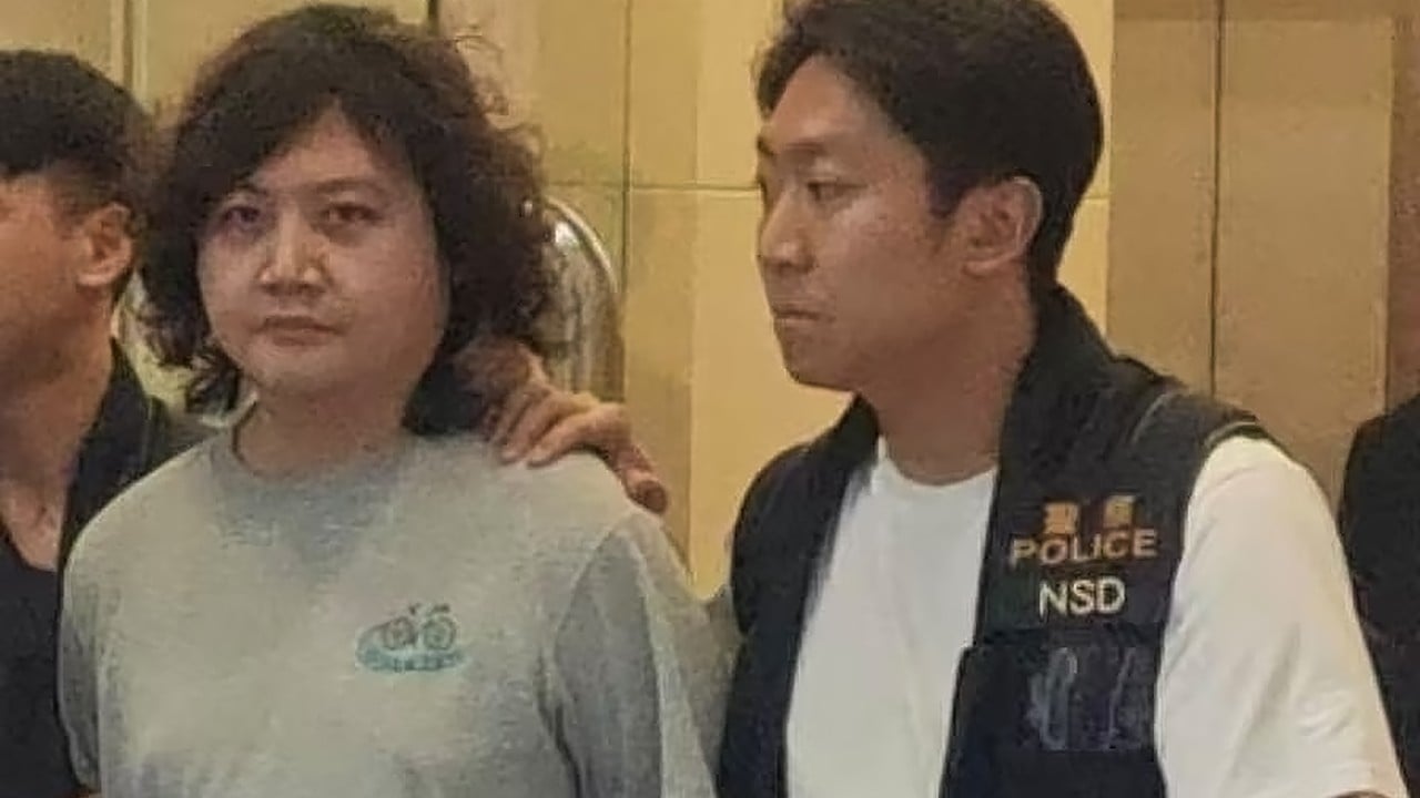 Boom News founder Tang Ho-wing, 1 other arrested by Hong Kong national security police