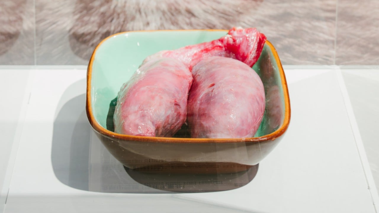 Disgusting Food Museum’s Hong Kong show has bull testicles and more. Is it in good taste?
