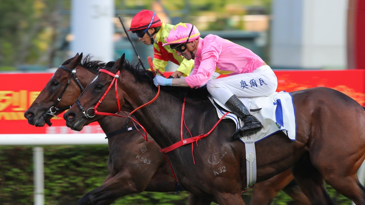 Sky Jewellery and Ka Ying Lightning steal the show with impressive wins on National Day undercard