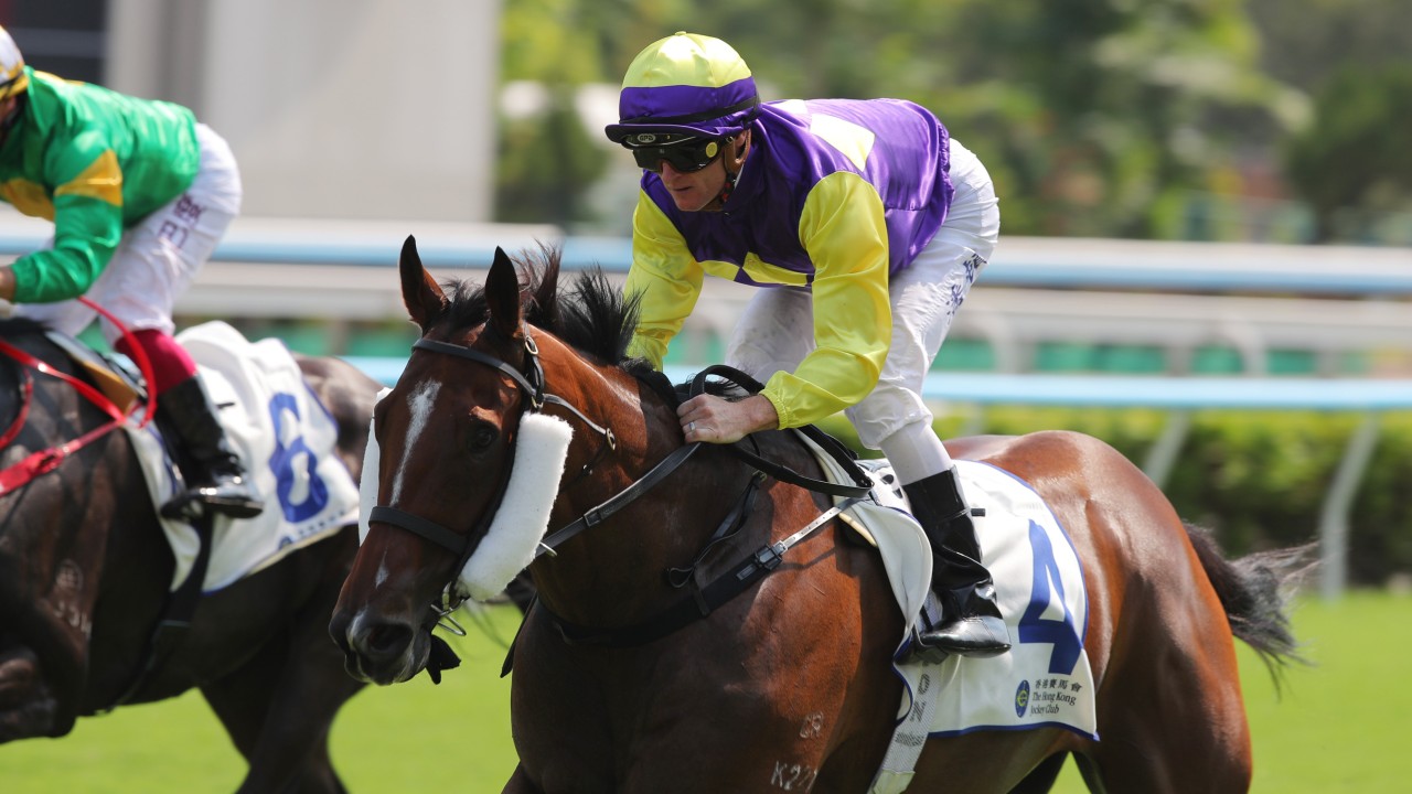 David Eustace mulls international targets as Colourful King secures Group Three glory