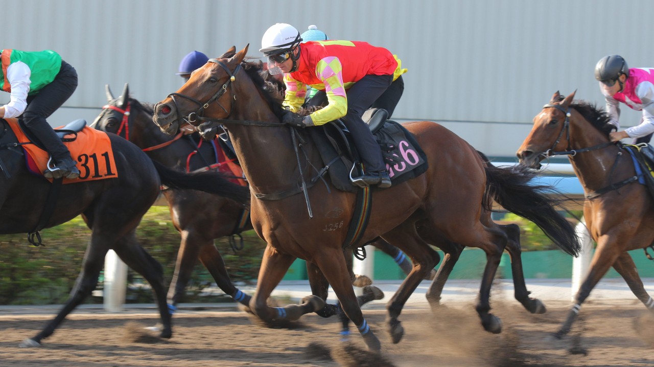 Hong Kong mile division changes shape with Zac Purton on My Wish and Little Paradise transferred