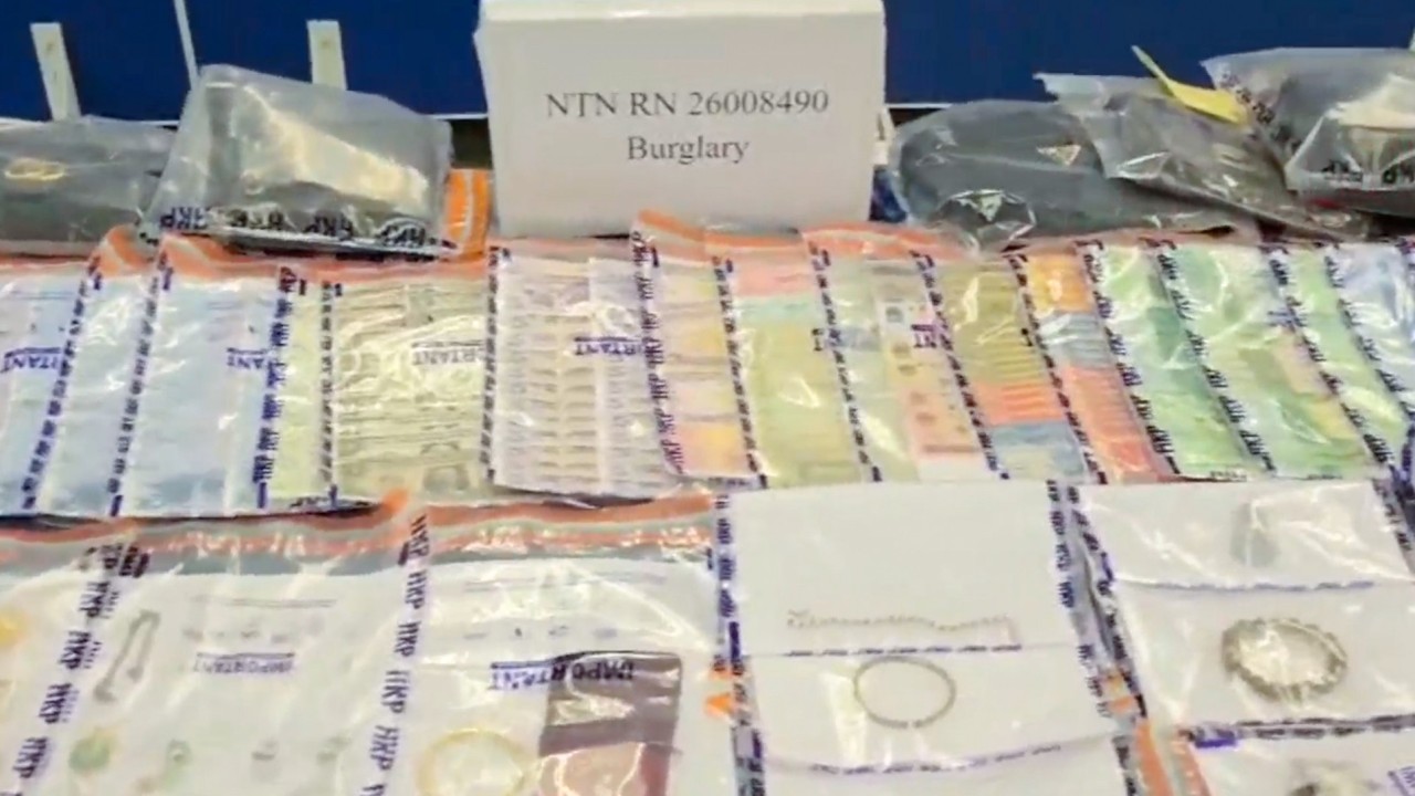 Police smash burglary ring that recruited illegal immigrants for 25 break-ins
