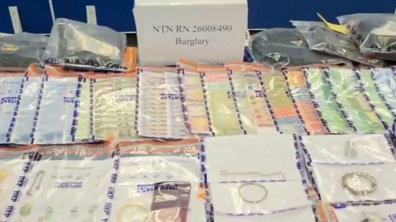 Police smash burglary ring that recruited illegal immigrants for 25 break-ins