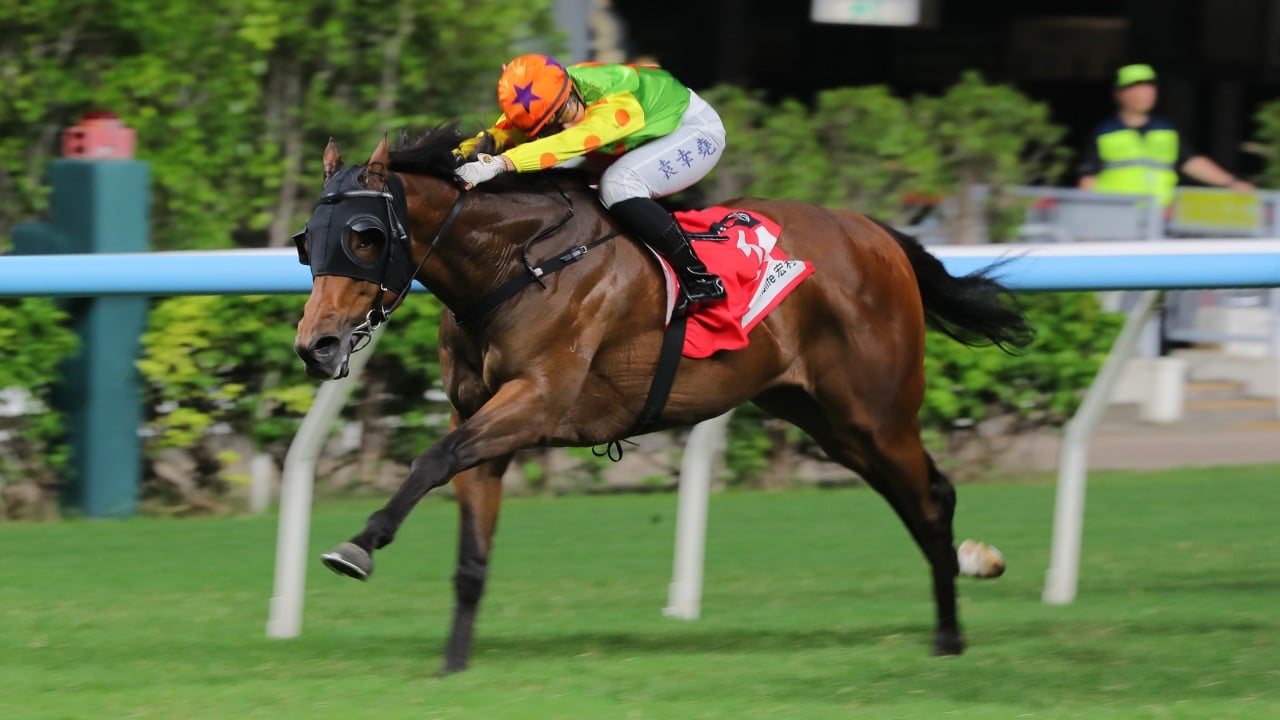 Pierre Ng aims to maintain top spot in championship with eight-strong Happy Valley team
