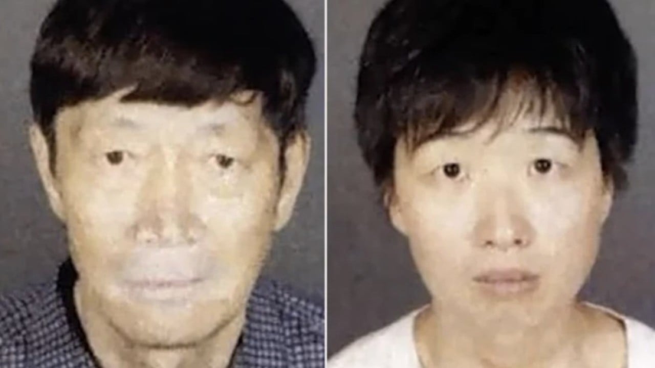 US seeks US$100 million bail each for Chinese-born couple in surrogacy child abuse case