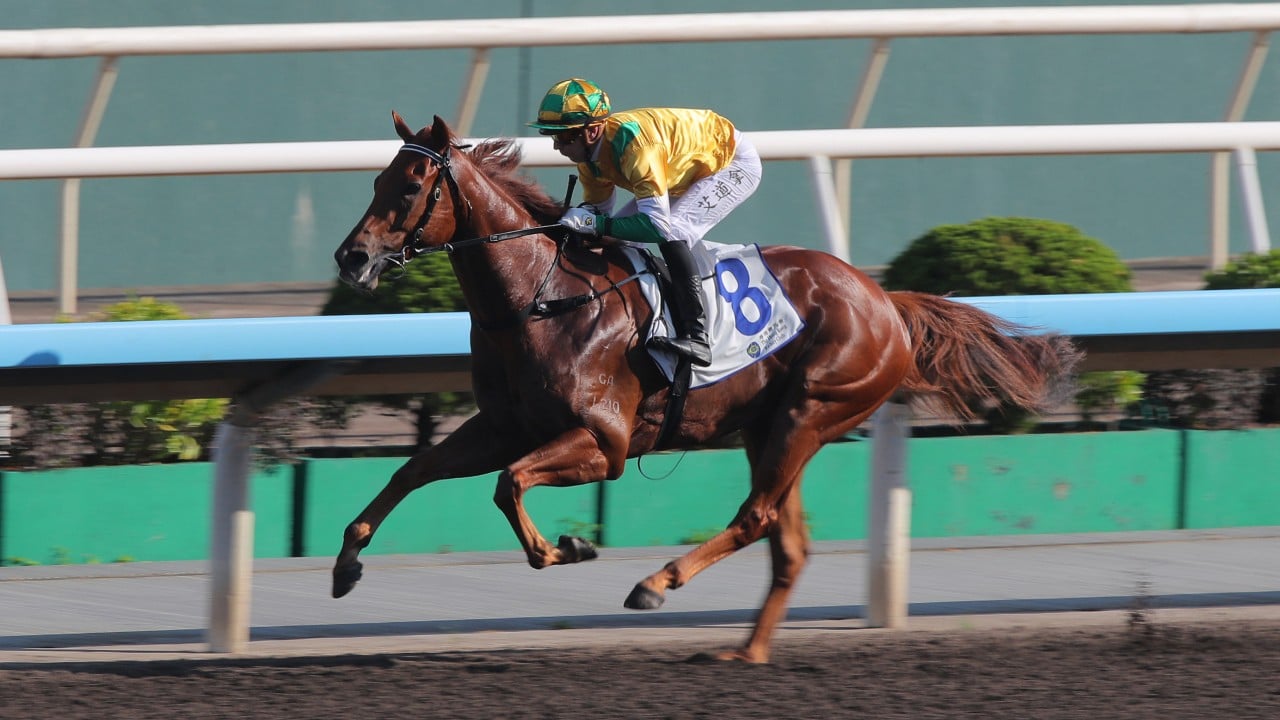 Brenton Avdulla relishing link-up with seven-length return winner Bustling City at Sha Tin