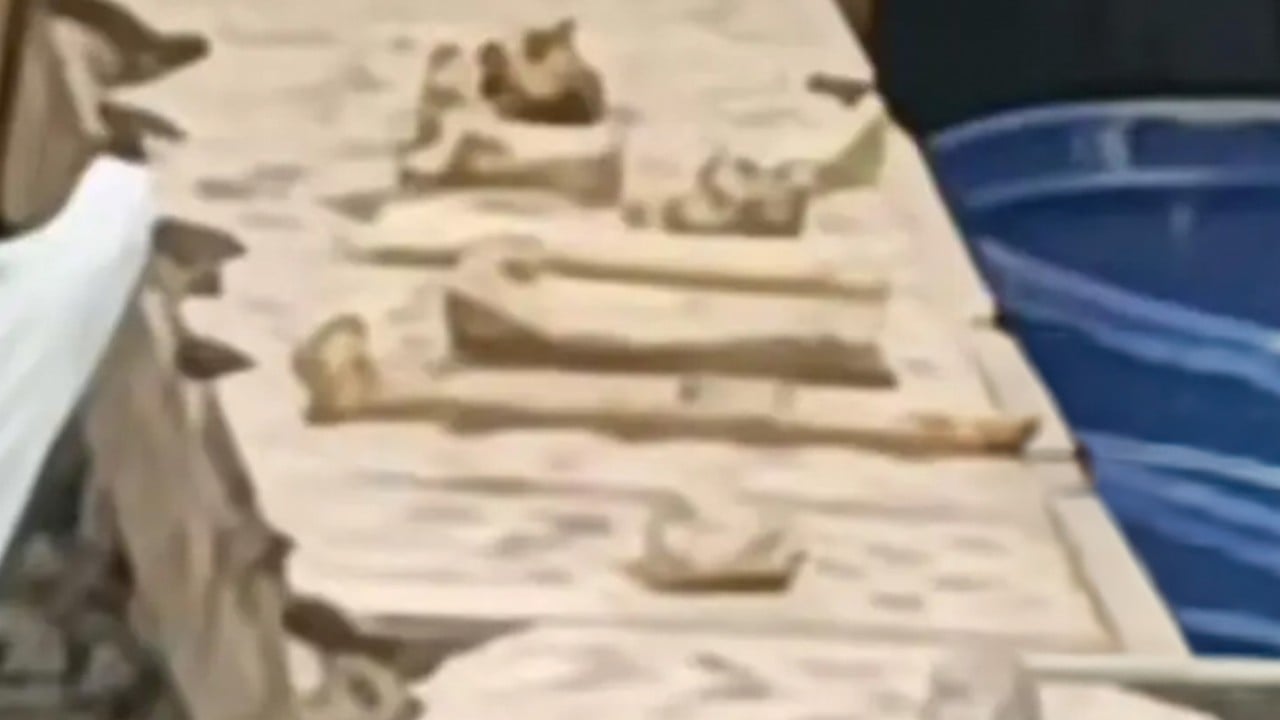 Chinese man arrested after fabricating rooftop child grave hoax above residential flat