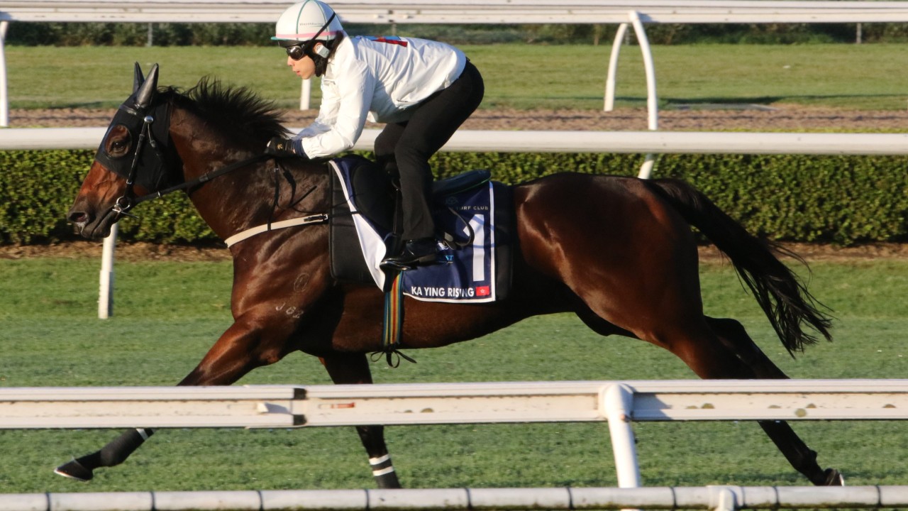 Ka Ying Rising ‘10 per cent better’ as he impresses David Hayes in key Everest gallop