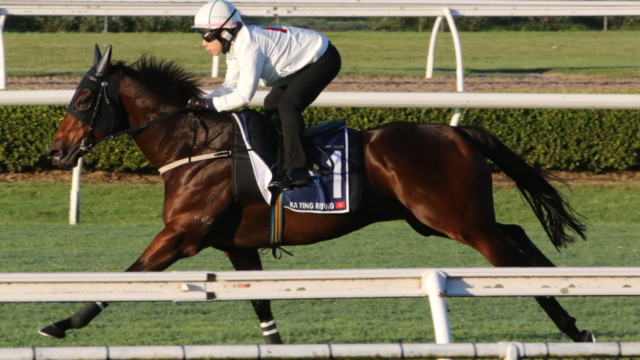 Ka Ying Rising ‘10 per cent better’ as he impresses David Hayes in key Everest gallop