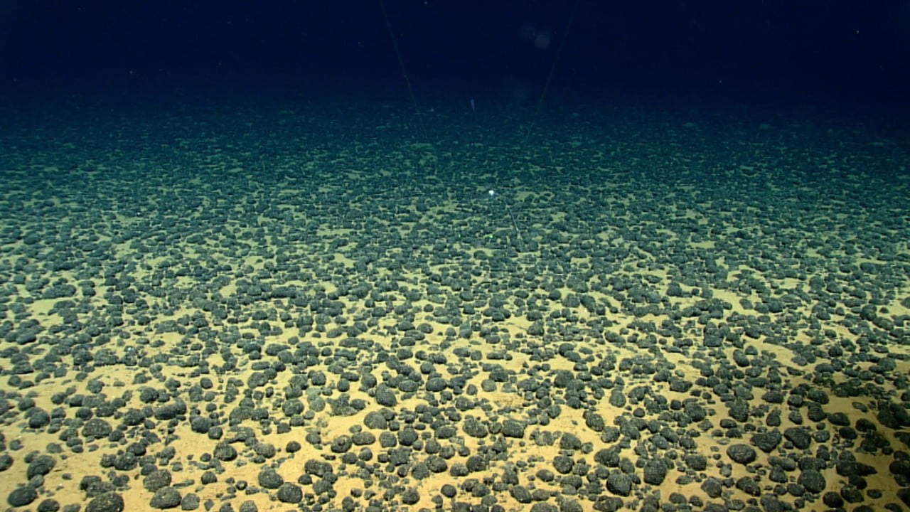 Chinese team finds 11,700 new viruses in world’s biggest seabed metal deposit