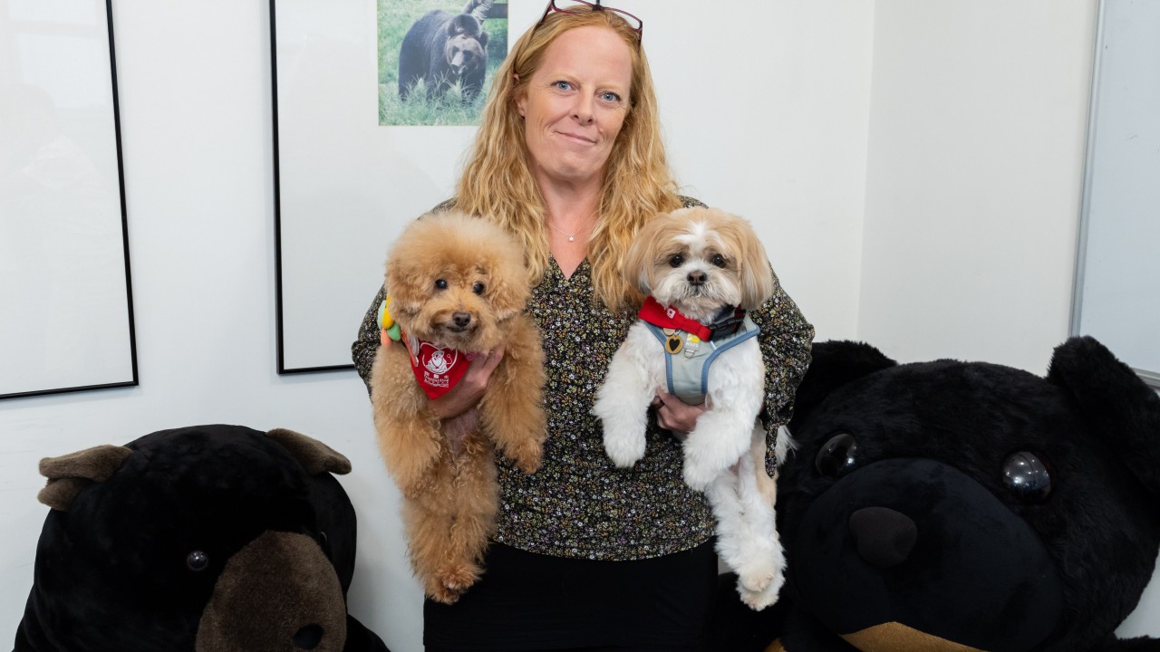 Therapy dogs in high demand: Hong Kong programme booked out until February 2027