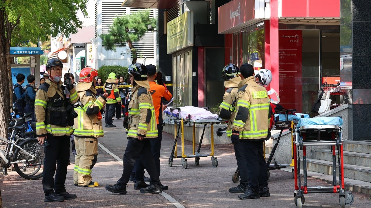 South Korea’s offender tracking under scrutiny after stabbing spree exposes ‘serious gaps’