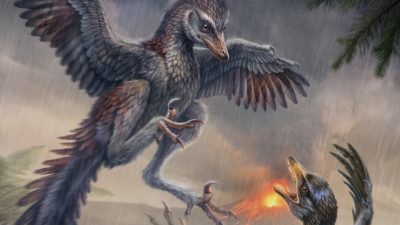 Sorry, Darwin: Chinese fossil shows that not all early birds evolved to fly