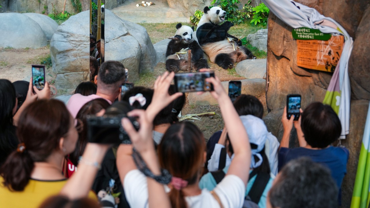 From pandas to Peak vistas, Hong Kong sets out to captivate Apec delegates
