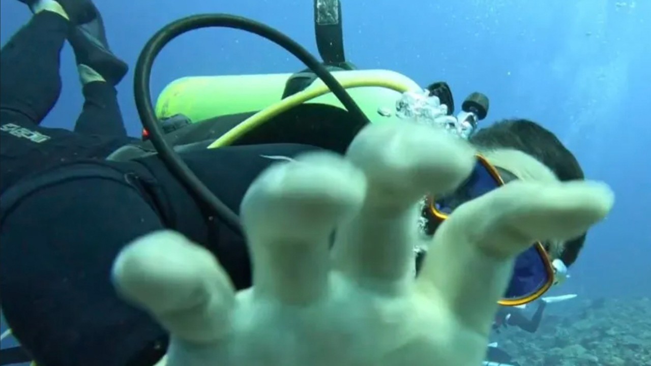 ‘Outrageous’: Taiwan Mandopop band member assaulted by South Korean diver underwater
