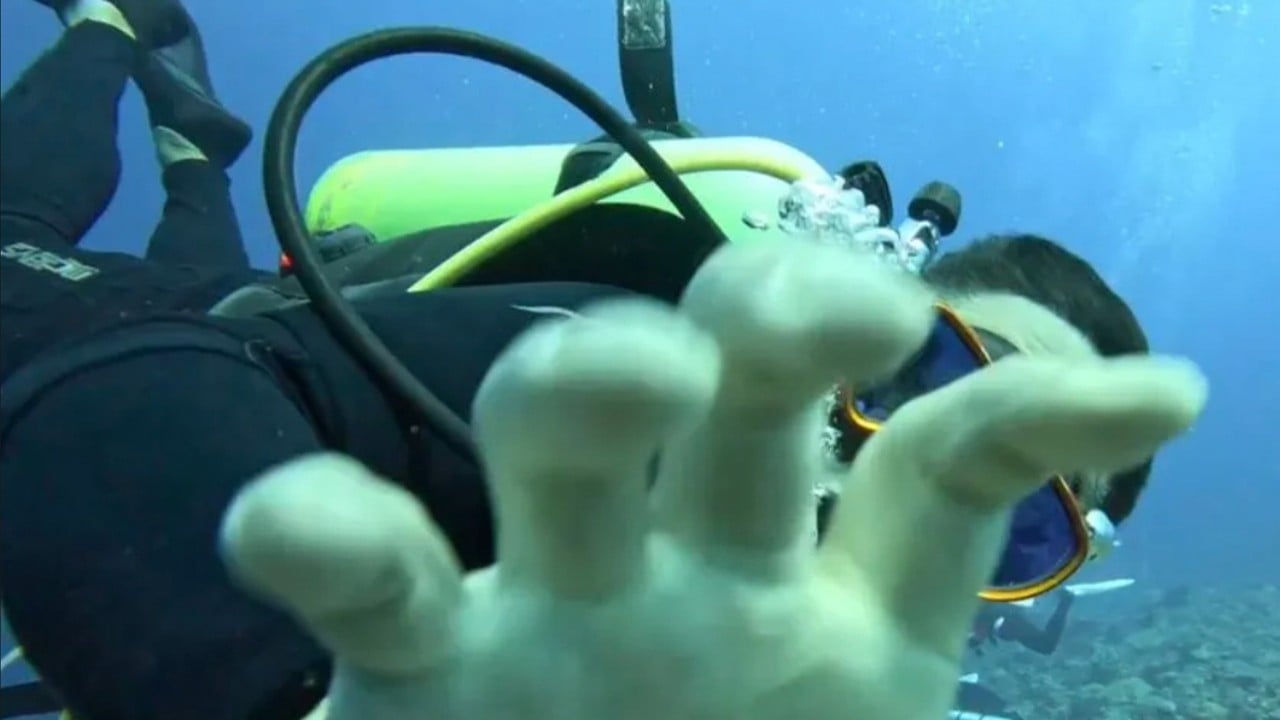 ‘Outrageous’: Taiwan Mandopop band member assaulted by South Korean diver underwater