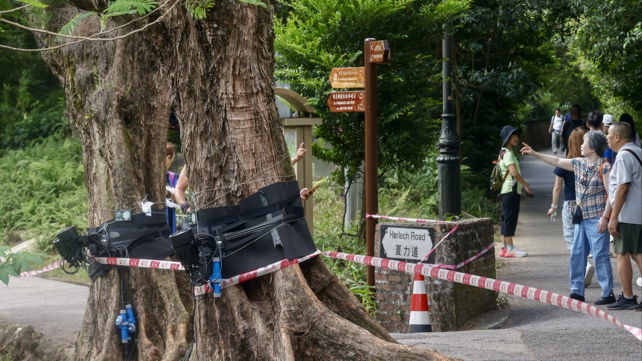 Hong Kong to review Peak lighting installation after outcry over felled trees