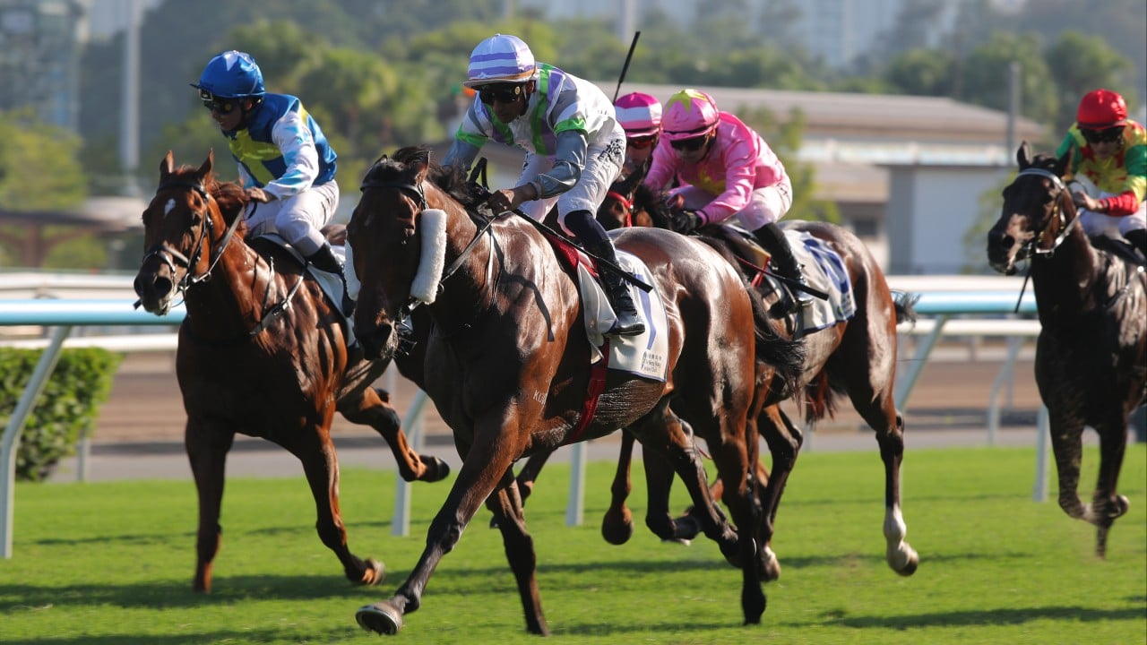David Eustace savours Group Two glory as Light Years Charm propels stable to magic treble