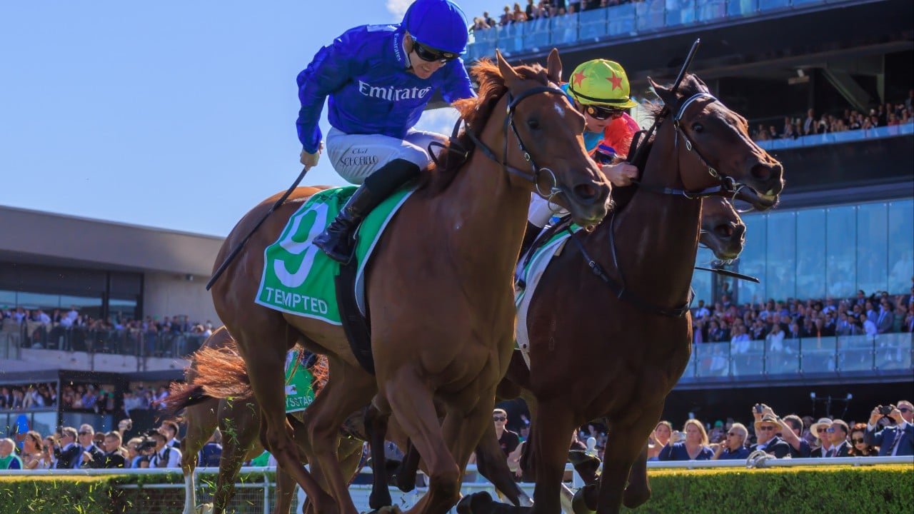 David Hayes plans to tinker with winkers in Ka Ying Rising’s The Everest redemption bid