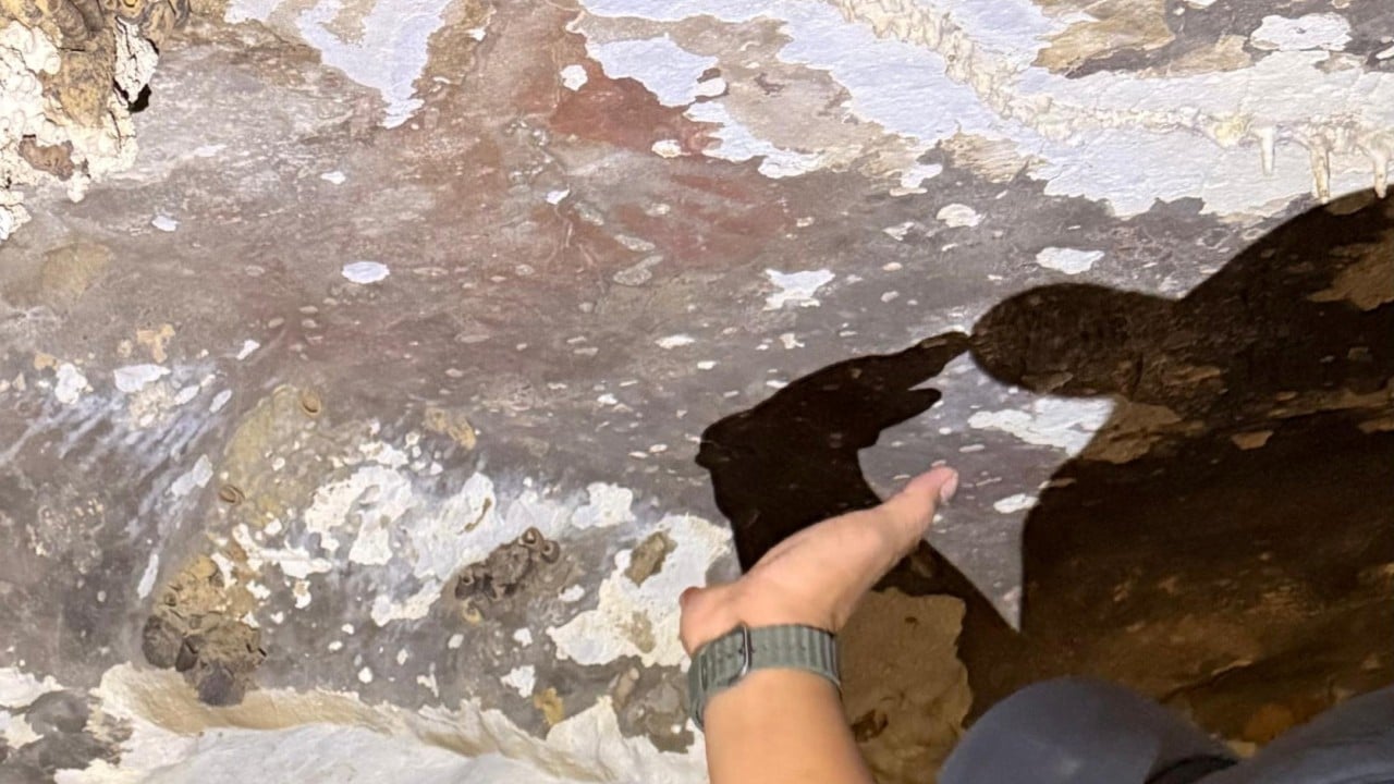 Indonesian wildfires threaten world’s oldest cave paintings in Sulawesi