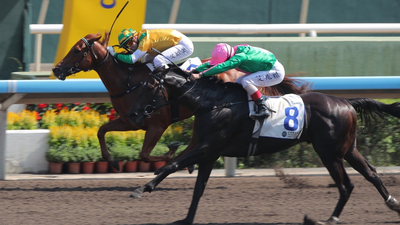 David Hayes backs Bustling City to bounce back from shock $1.4 defeat last start