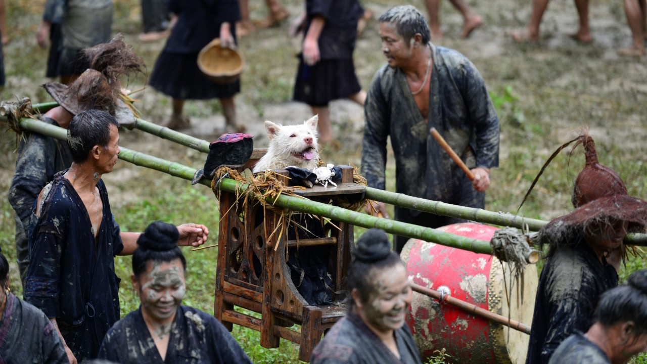 Why China’s heritage-listed Dog-Carrying Festival honours canines as sacred lifesavers