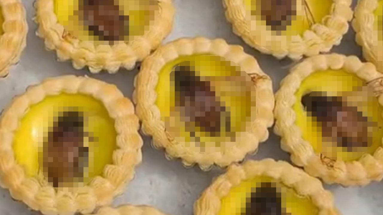 China eatery creates egg tarts topped with ‘giant cockroaches’, drawing widespread curiosity