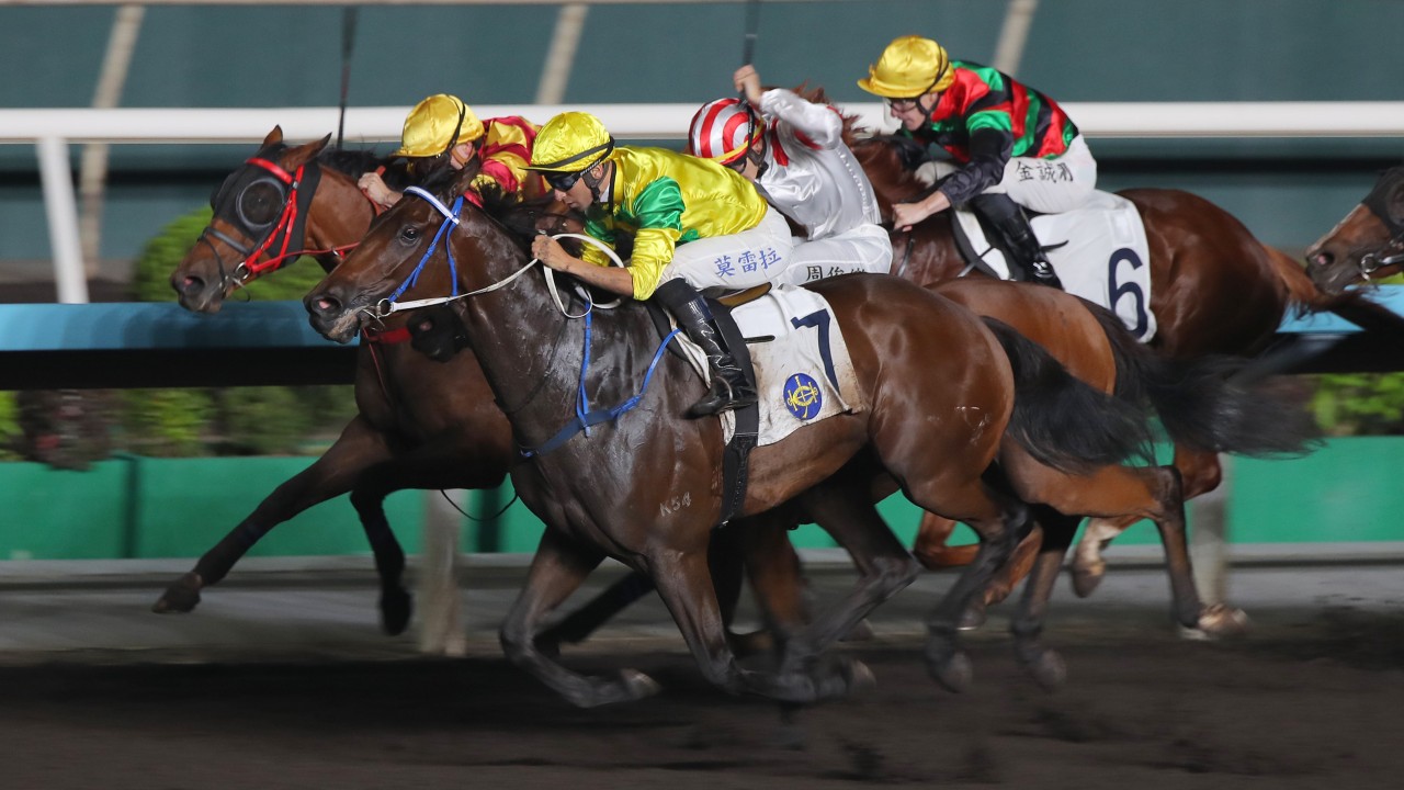 Caspar Fownes has Sky-high hopes for Class Three duo at Sha Tin’s all-weather meeting