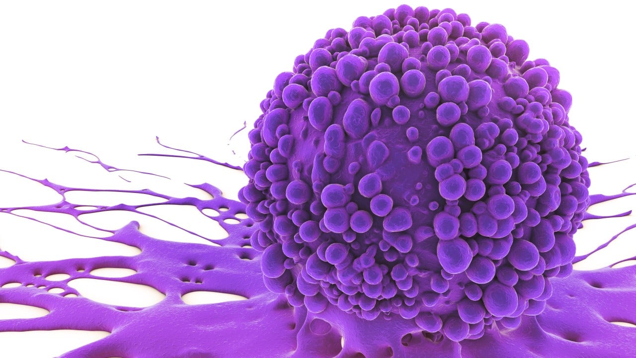 Chinese drug sector’s stature grows at major cancer conference