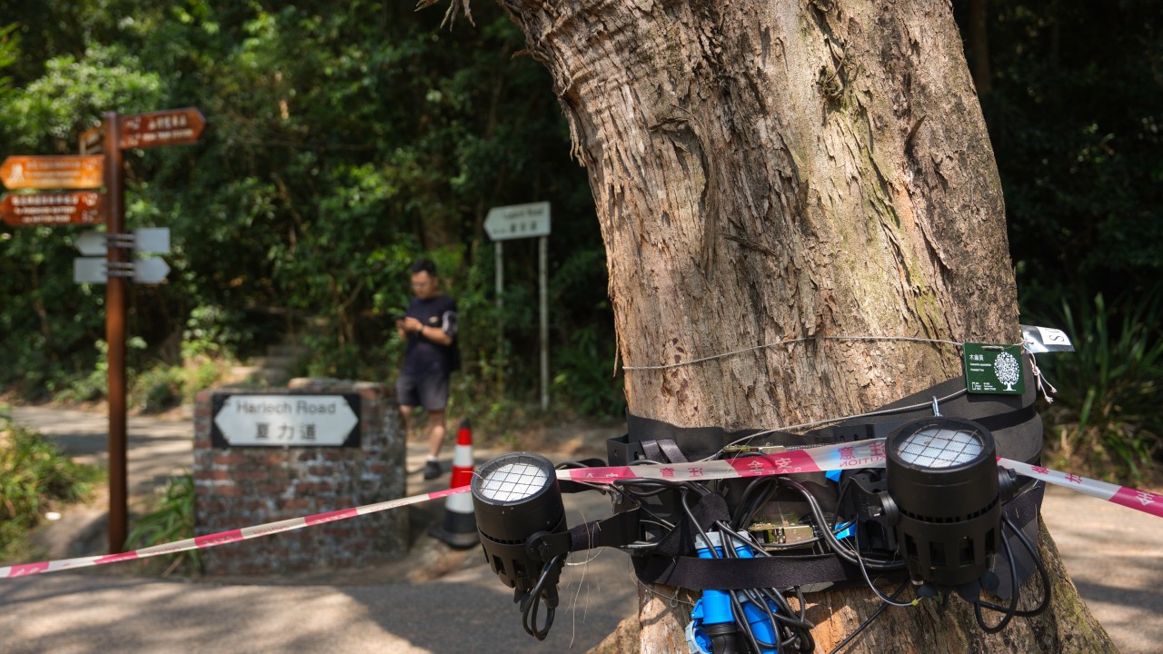 Hong Kong scraps lighting attraction at The Peak after public outcry