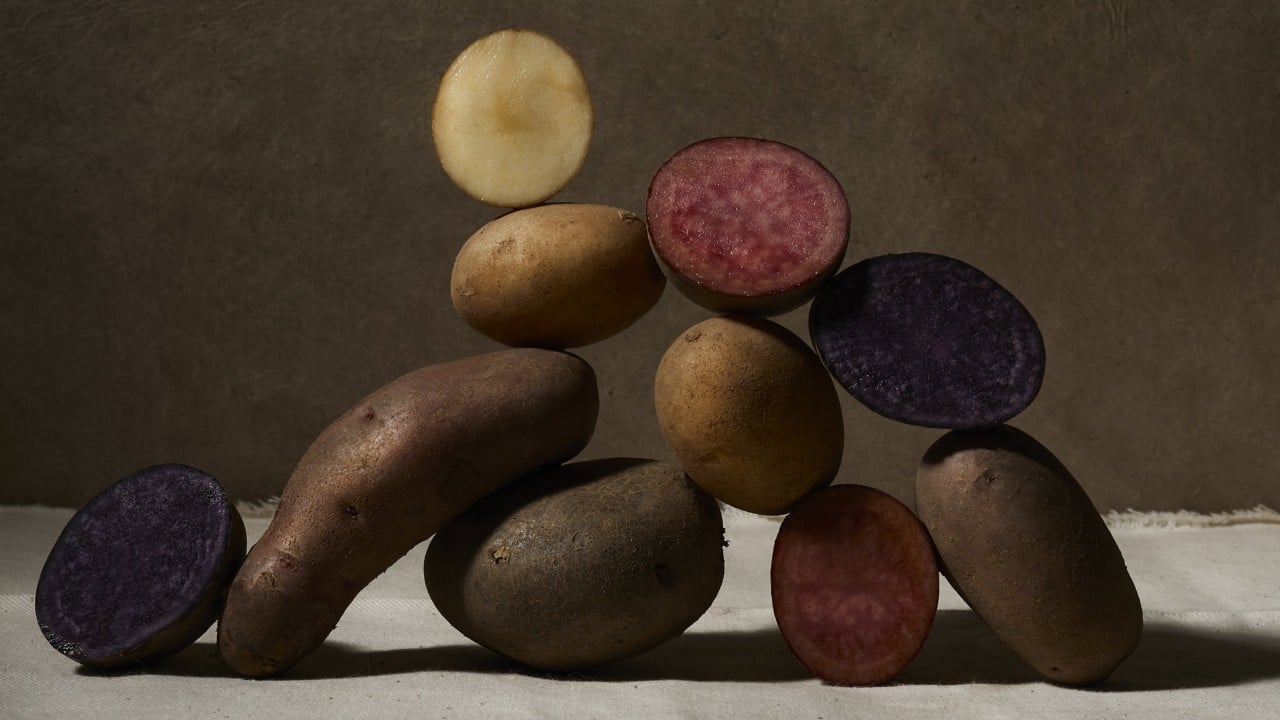 Yams vs sweet potatoes: the difference, nutrition and how to cook them