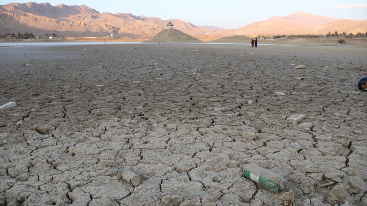 200 nations at Cop17 commit to biodiversity goals amid missed opportunities