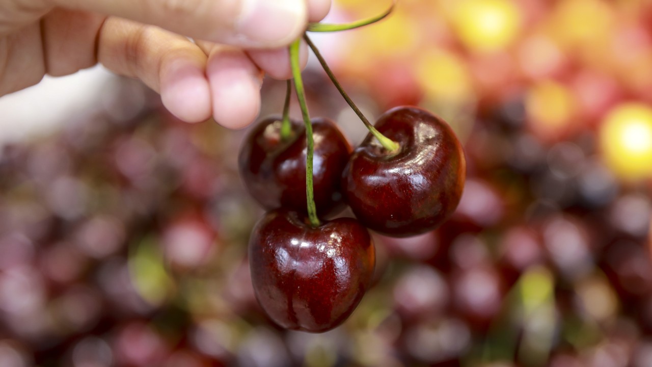 Vietnam gets a bite at the cherry as US farm exports find new market amid US-China trade war