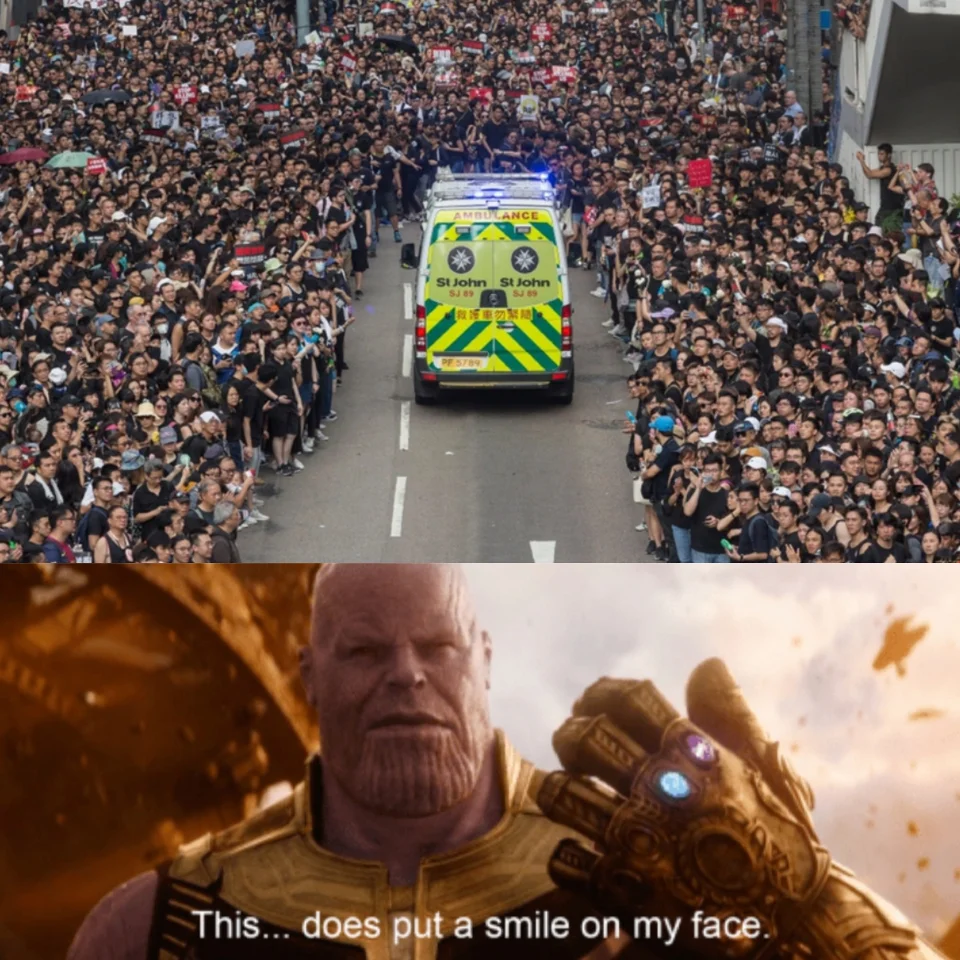Even Thanos approves. (Picture: memegag28 via Reddit)