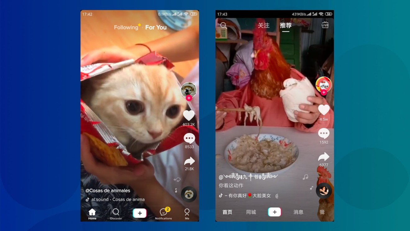 bytedance tiktok douyin pay china wechat bytedance tiktok douyin pay china wechat