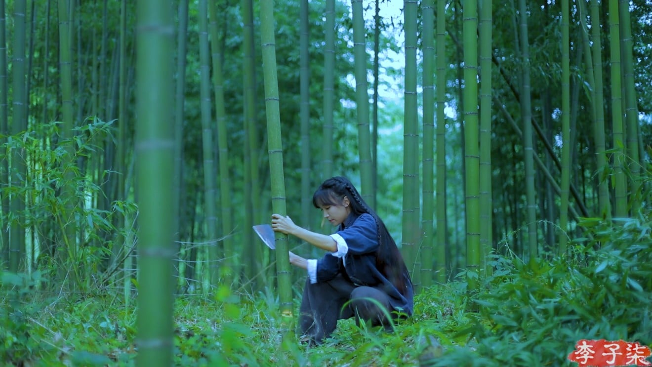 Videos inspired by traditional culture have found fans both inside and outside China. But the Hanfu trend has also been the subject of controversy. (Picture: Li Ziqi)